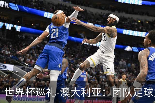 世界杯巡礼-澳大利亚：团队足球力量大，老将“外援”联手造奇迹