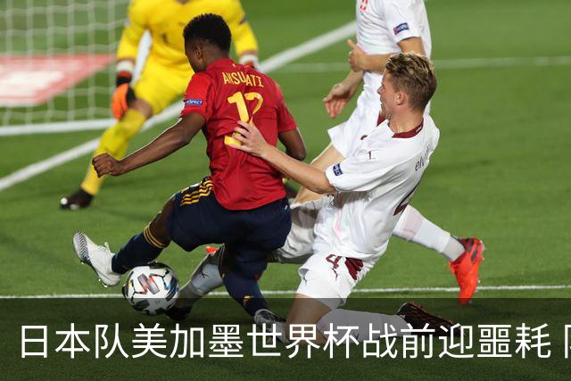 日本队美加墨世界杯战前迎噩耗 队长远藤航因伤退出